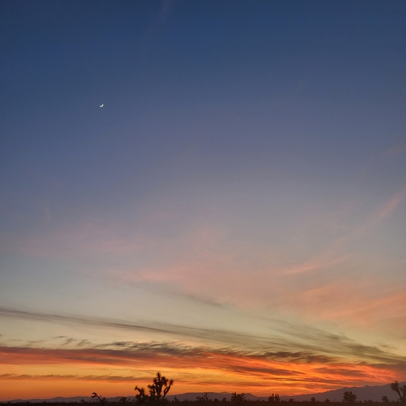 VETERANS DAY SALE - Picture 10 of 11